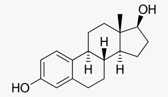 THE Ellechemy GLOSSARY: Testosterone. Important for Women too.