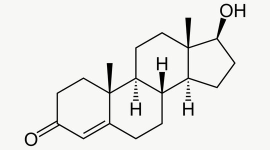 THE Ellechemy GLOSSARY: Testosterone. Important for Women too.