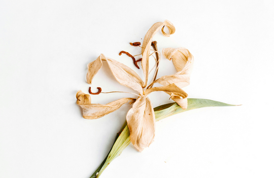 A Doctor's Guide to Genitourinary Syndrome of Menopause: What Every Woman Should Know